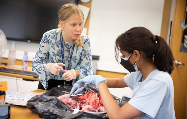 Intercambista estudando medicina em Cambridge